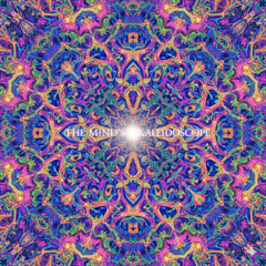The Minds Kaleidoscope