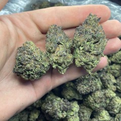 love no thotties remix - @ikountkills