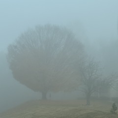 Шаг-поворот