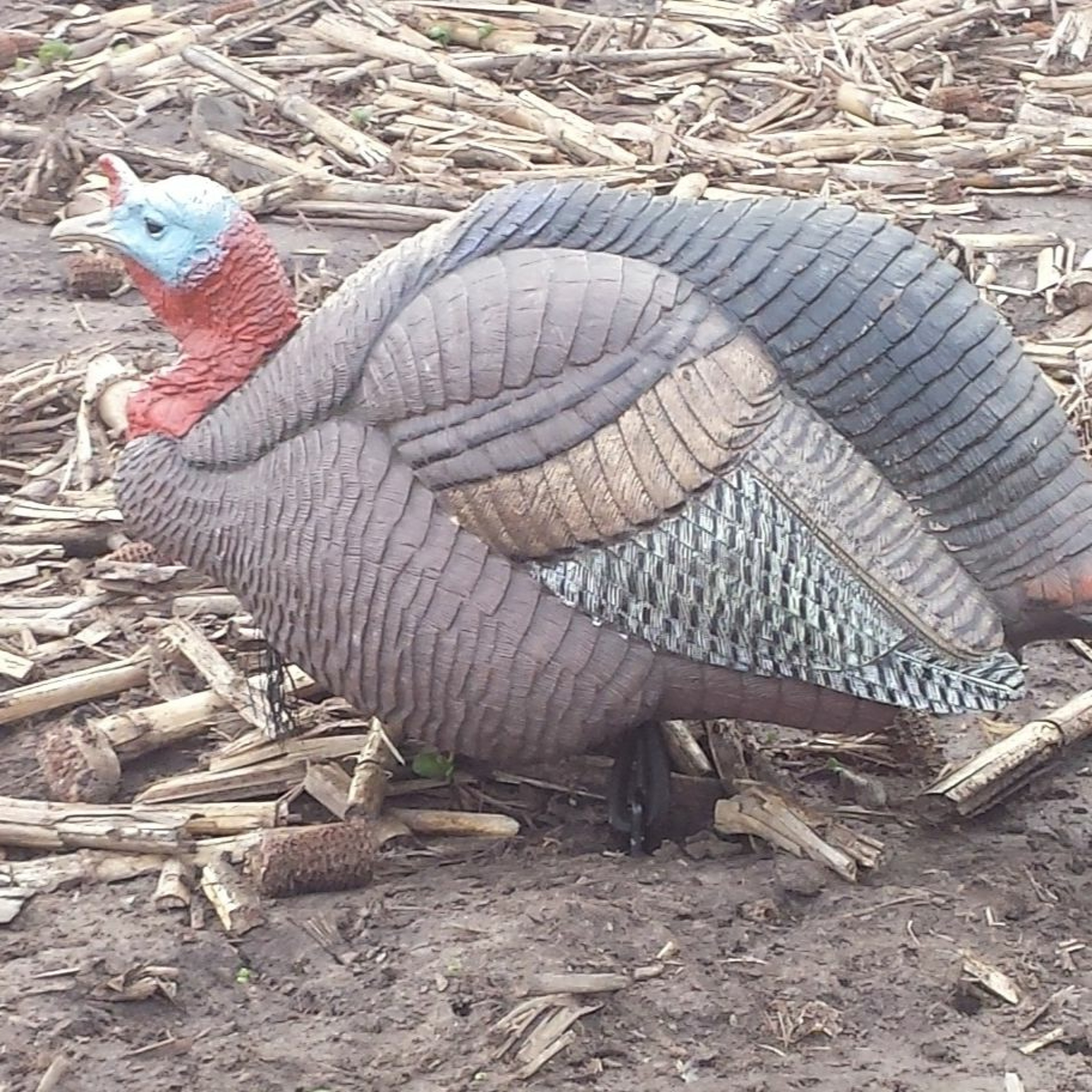 Decoys Less Effective