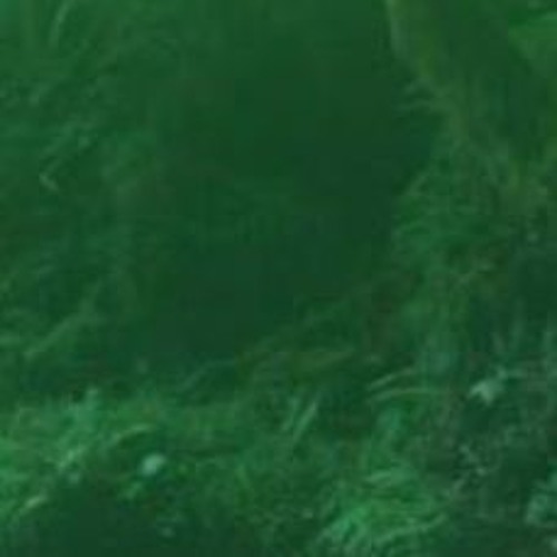 Launched Out Of The Pond Into Space