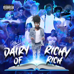 Diary Of RichyRich
