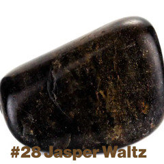 #28 Jasper Waltz