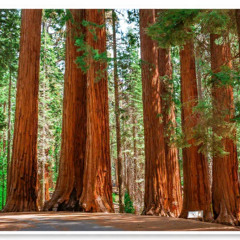 OCTOBER morning drive prod. mrfreeze310