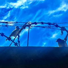 no hay lugar, al menos no aquí