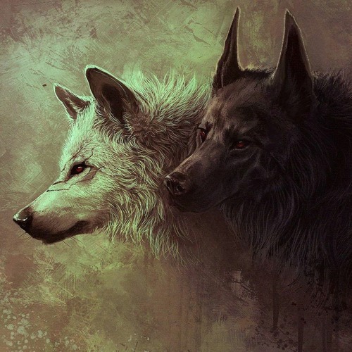 Wolf lonely Lone Wolf