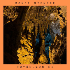 DONDE SIEMPRE (Beat by Sleepless Beats)
