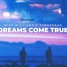 Mike Williams & Tungevaag - Dreams Come True (JOEHAN REMIX)