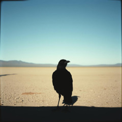 Schwarzgefiederte Haut