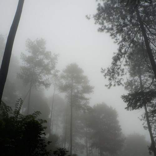 Nyoman Paul - I dont wanna talk about it