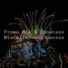 [DJ] Showcase Promo Mini Mix (30 min) | Q9/QM (519)