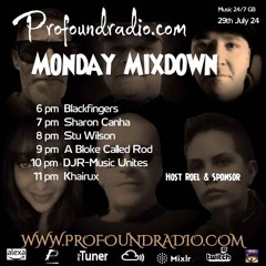 #190 Profound Radio  Progressive House  @djstuwilson
