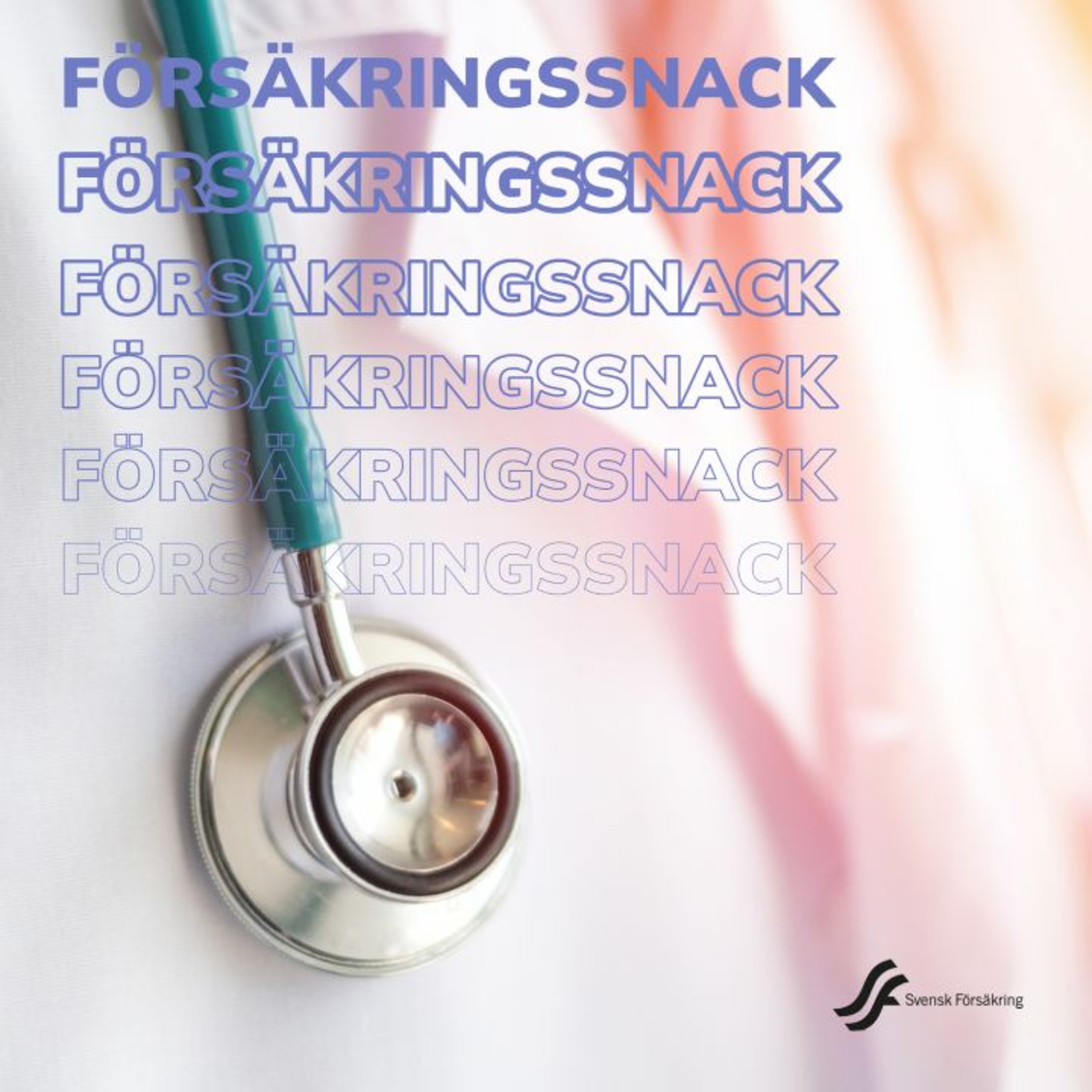 Försäkringssnack