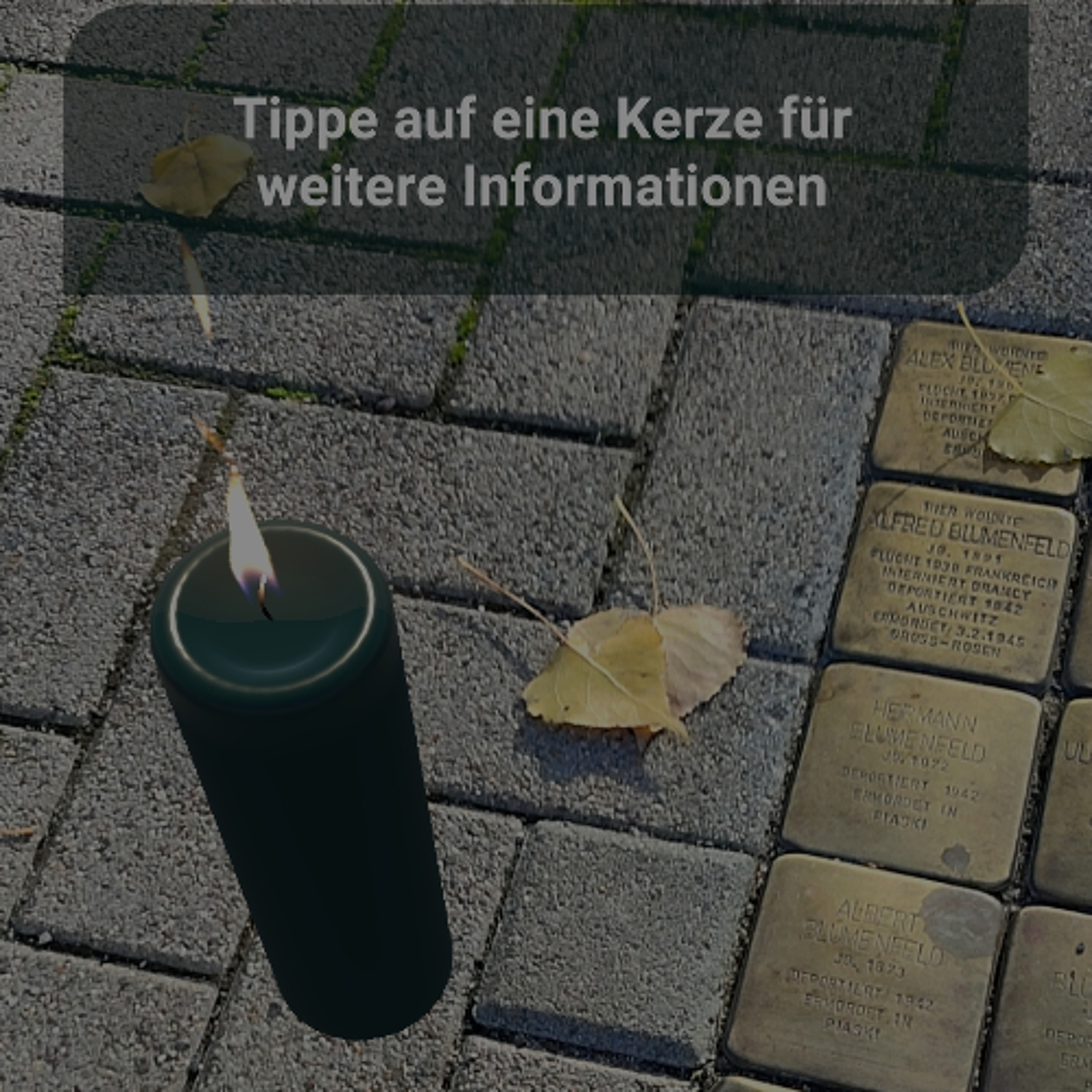 Digitales Gedenken: App verbindet Stolpersteine mit dem Schicksal der Menschen