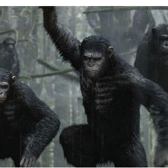 Jungle Baby Ft T.F_GBANDO