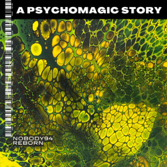 Nobody94 - Echollapse [APS26]