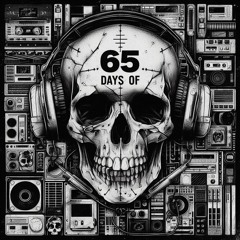 65daysofstatic - Radio Protector (barkeeper324 cover)