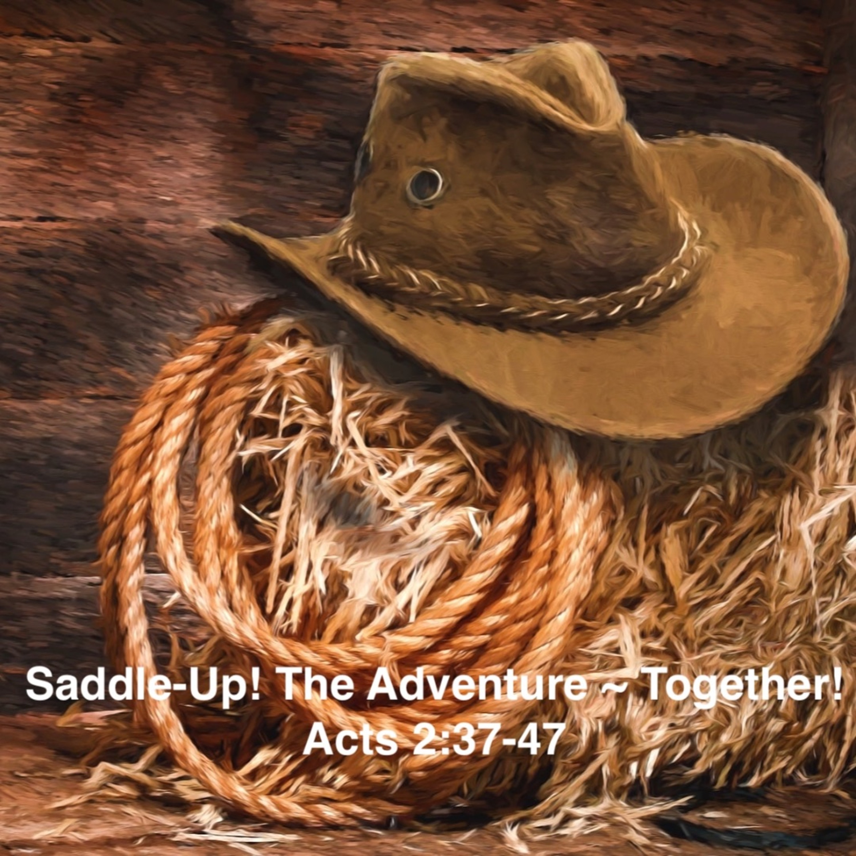 Sept 13/26 | Acts 2:37-47 | Saddle-Up! The Adventure ~ Together! | Meldon Lutzer episode artwork