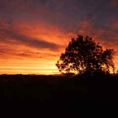 Afterhours 7_MatDerKater