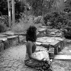 Calm in the Chaos meditation