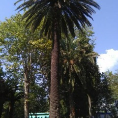 Jungle, Drum & Bass #5