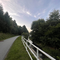 Summer 25 - JamboAbi