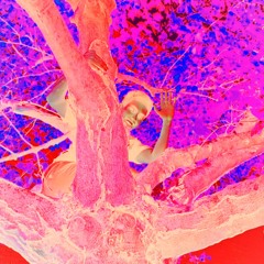 Mack On B*tches Like Its The 1970s - Demo