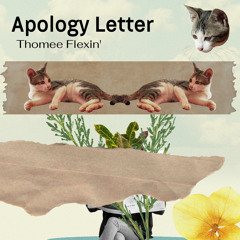 Apology Letter