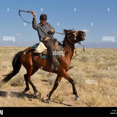 wild west ahh beat idk