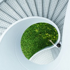 12.06.24 Nestor & Koppel 3.22 – Kas rohepööre saab ootamatu lõpu?