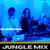 Download Video: Dj Asexual - jungle mix - presented by anne hero world