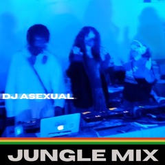 Dj Asexual - jungle mix - presented by anne hero world