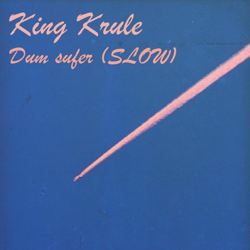 dum surfer