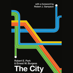 The City (Sample)