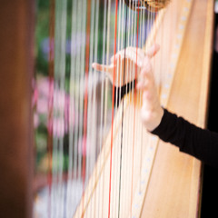 Birds of a Feather, Billie Eilish - Live String Quintet - Two Violins, Viola, Cello, + Harp