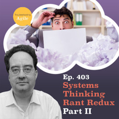 Systems Thinking Rant Redux Part II