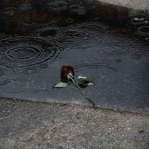 Hẹn Hò Nhưng Không Yêu (Lofi) - Wendy Thảo x TruongThinh