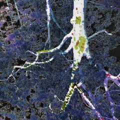 root network
