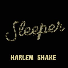 BAAUER - HARLEM SHAKE (SLEEPER FLIP) [FREE DL]