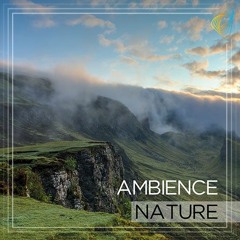 Ambience Nature - Strata (demo)
