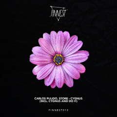 Carlos Pulido, Store - Cygnus (Original Mix)
