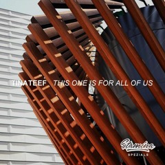 TINATEEF - THIS ONE IS FOR ALL OF US - stamina spezials SPZL 09 - dubstep