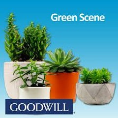 Need to know details for new Goodwill location