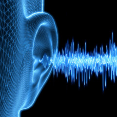 Earplay