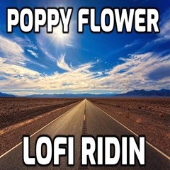 Poppy Flower - Lofi Ridin