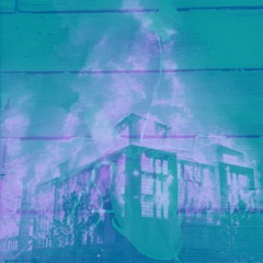 Tale of Twin Cities (by Angleton’s Orchids)