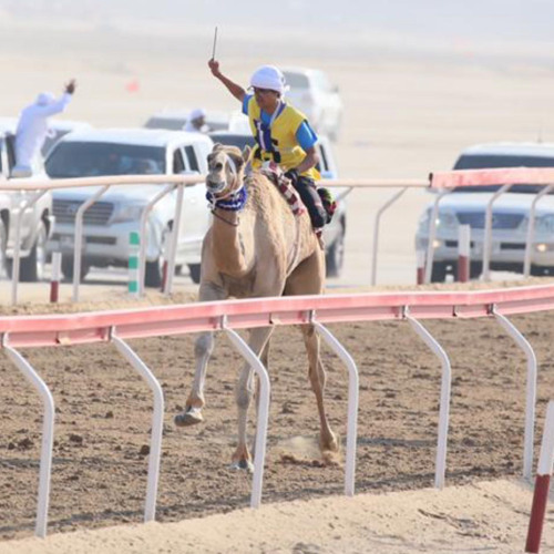 (هجام) سعود بن مصلح الاحبابي👏🏻🥇