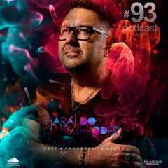 93 - Haraldo Schroder @ July 2024