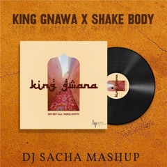 Skales & SEYSEY Ft. tariq hmitti - King Gnawa X Shake Body