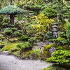 Japanese Garden (2024)